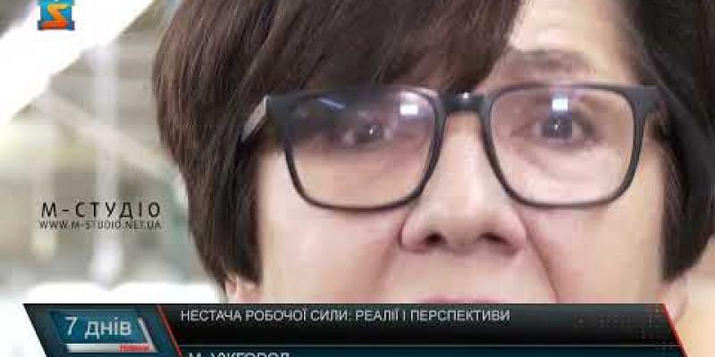 Вбудована мініатюра для Нестача робочої сили: реалії і перспективи