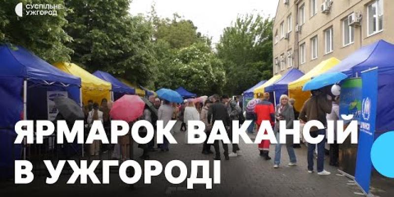 Вбудована мініатюра для Участь взяли 14 роботодавців: в Ужгороді відбувся ярмарок вакансій
