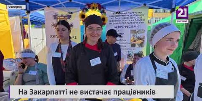 Вбудована мініатюра для На Закарпатті не вистачає працівників