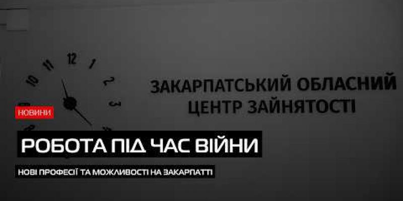 Вбудована мініатюра для  Економічний тил: як Закарпаття долає кадровий голод